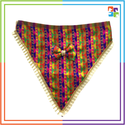 Multicolor Paisley Bow & Bandana COMBO - Image 3