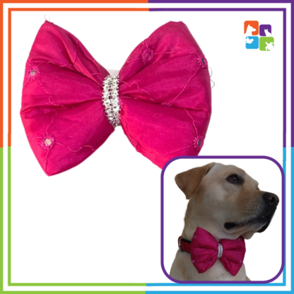 Pink Golden Patterned Bandana & Mirrored Bow COMBO - Image 4