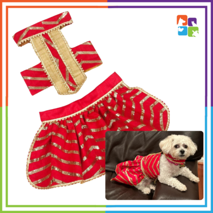 Red Lehenga-Choli - Image 2