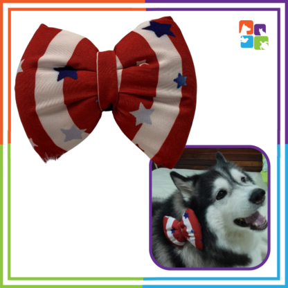 Star Spangled Bow - Image 2