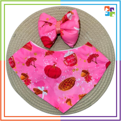 Pink Autumn Bandana & Bow COMBO