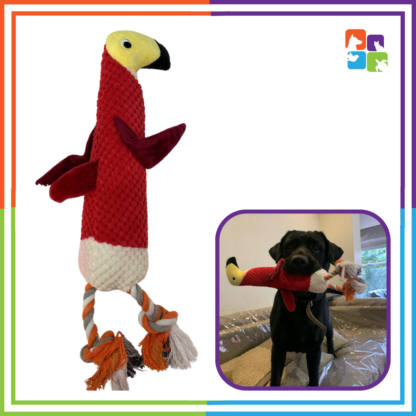 Parrot Rope/Plush Toy - Image 2