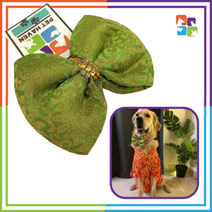 Parrot Green Bandana & Bow COMBO - Image 4