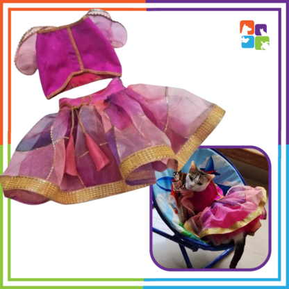 Pink Lehenga-Choli - Image 2