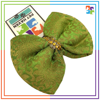 Parrot Green Bandana & Bow COMBO - Image 3