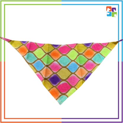 Ogee Multicolor Bandana