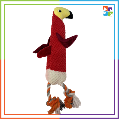 Parrot Rope/Plush Toy