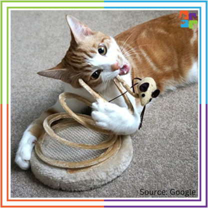 Spring-Plush Toy for Cats - Image 2