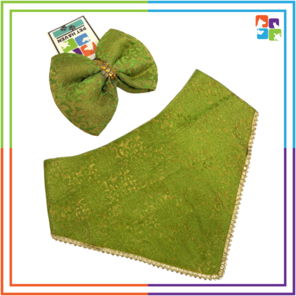 Parrot Green Bandana & Bow COMBO