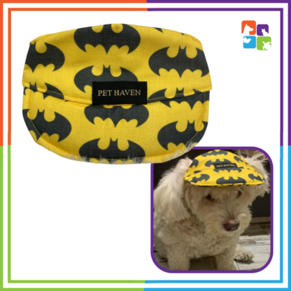 Yellow Black Pet Cap - Image 2