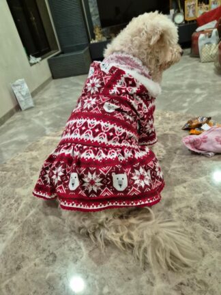Christmas Hoodie-Dress