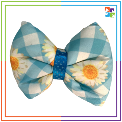Blue Daisy