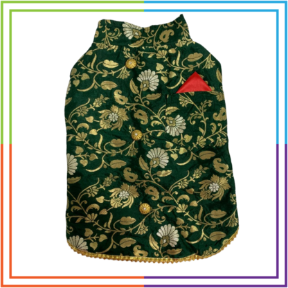 Dark Green Embroidery Sherwani - Image 2
