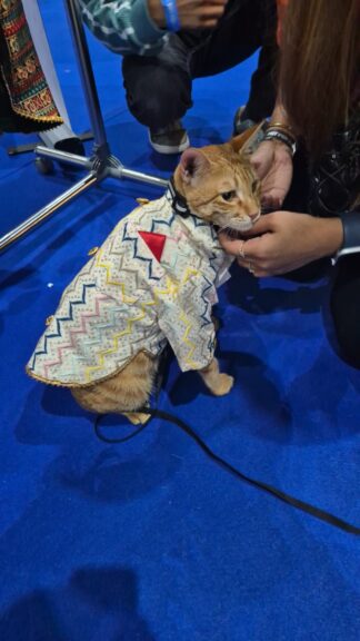 Wavy Embroidery Kurta