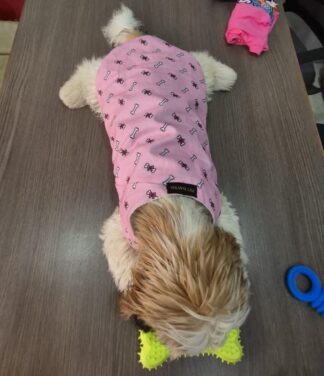 Pink Bones Shirt