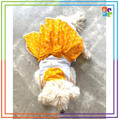 Yellow Star Dress - Image 2