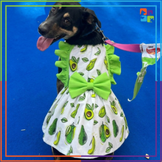 Avocado Dress & Sunglasses COMBO