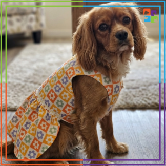 Multicolor Flowers Dress