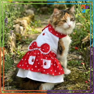 Lady Bug Dress