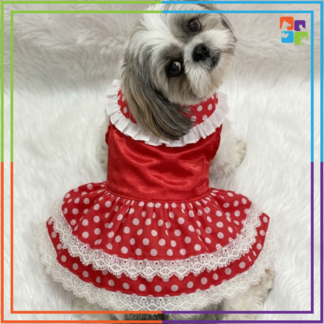 Red Polka-Lace Dress