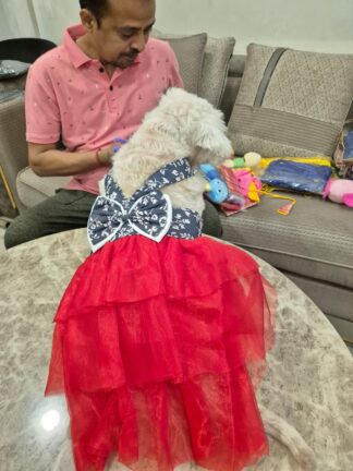 Floral Off-Shoulder Dress