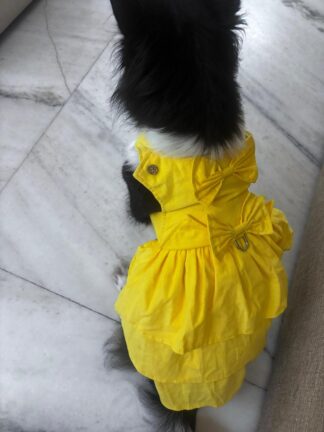 Yellow Off-Shoulder Dress