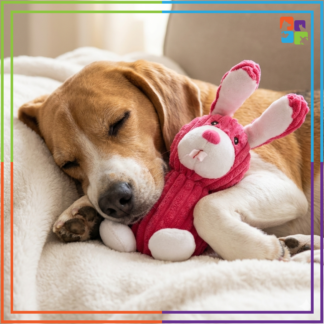 Pink Bunny Toy