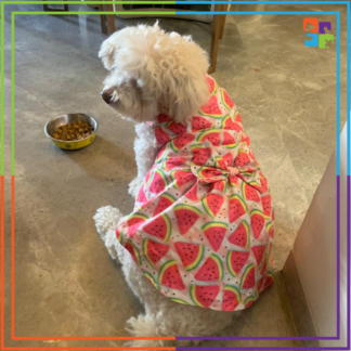 Watermelon Dress