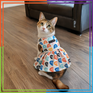 Multicolour Rainbow Dress