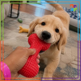 Red/Yellow Chew Bones
